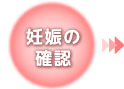 妊娠の確認