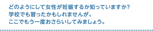 どのようにして女性が妊娠するか知っていますか?学校でも習ったかもしれませんが、ここでもう一度おさらいしてみましょう。