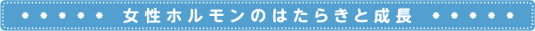 女性ホルモンのはたらきを成長
